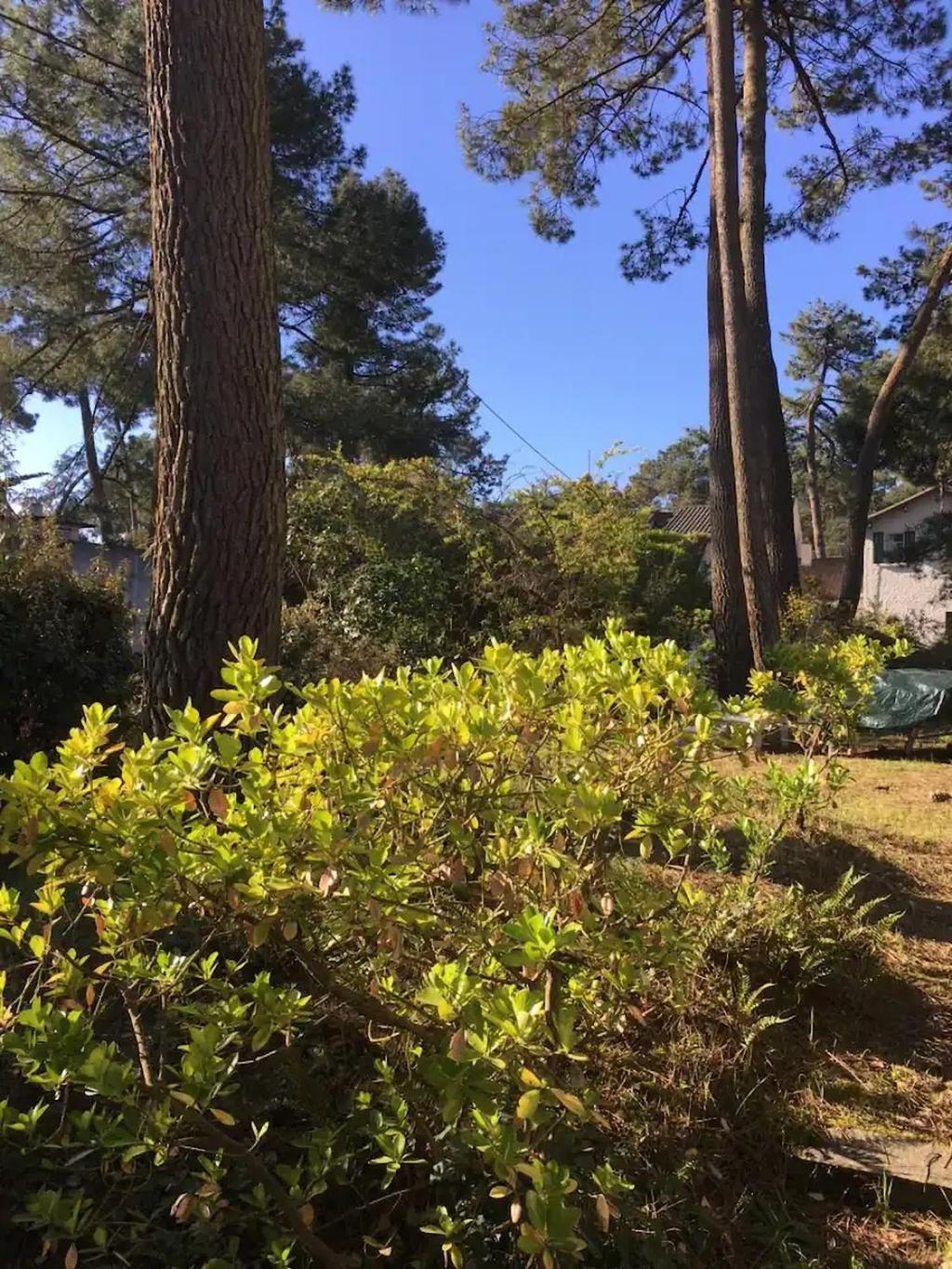 L'herbaudière - Les Pins La Baule-Escoublac